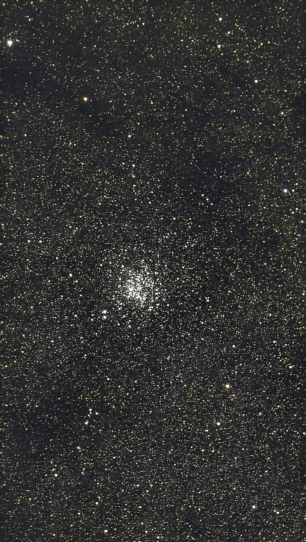 M11